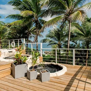 Eco Lifestyle And Barbados